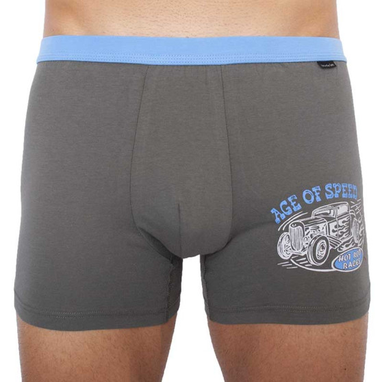 Herenboxershort Andrie grijsgroen (PS 5336 A)