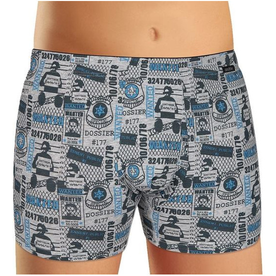 Herenboxershort Andrie grijs (PS 5340 B)