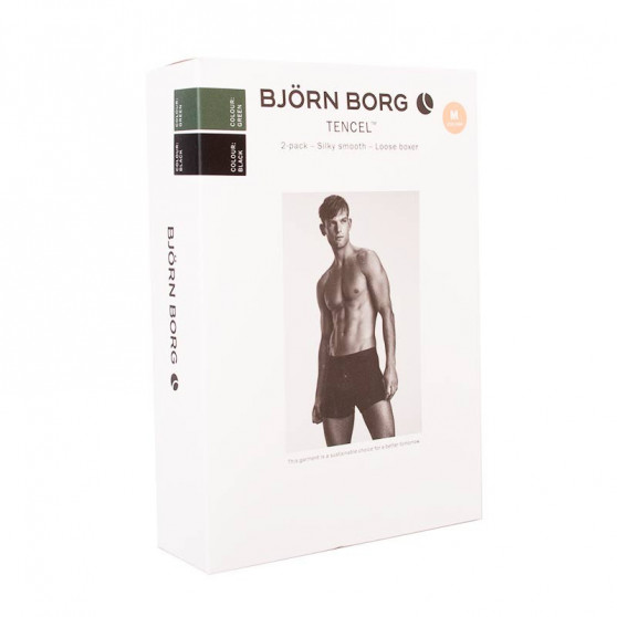 2PACK Herenboxershort Bjorn Borg veelkleurig (2031-1326-80371)