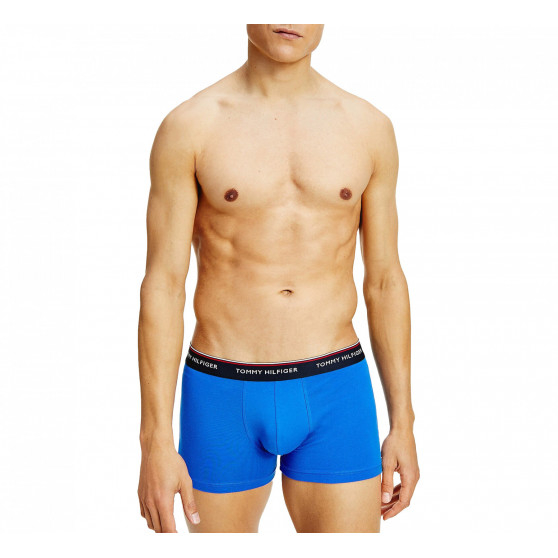 3PACK herenboxershort Tommy Hilfiger veelkleurig (1U87903842 0T1)