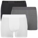 3PACK herenboxershort Levis veelkleurig (905045001 010)