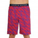 Herenshort Tommy Hilfiger veelkleurig (UM0UM01765 0NX)