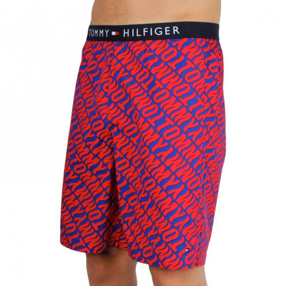 Herenshort Tommy Hilfiger veelkleurig (UM0UM01765 0NX)