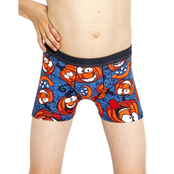 Kinderboxershort Cornette Kinderen veelkleurig (701/114)