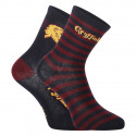 2PACK Kindersokken E plus M Harry Potter veelkleurig (GRYFFINDOR-A)