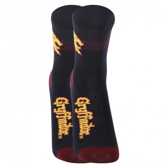 2PACK Kindersokken E plus M Harry Potter veelkleurig (GRYFFINDOR-A)