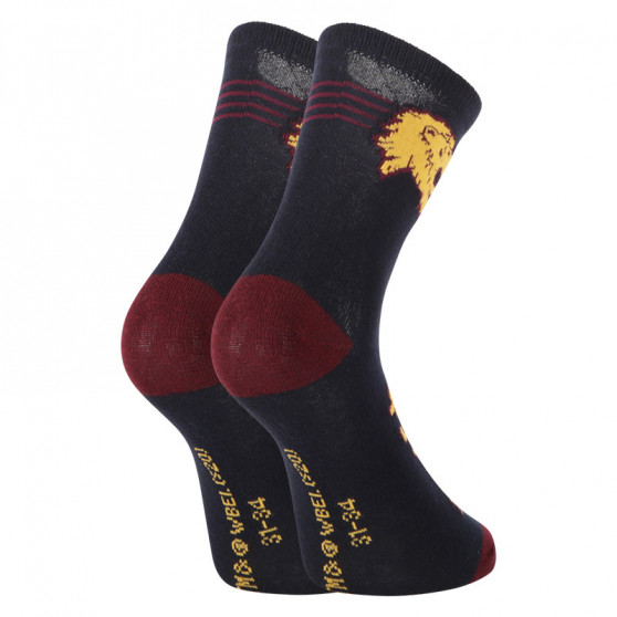 2PACK Kindersokken E plus M Harry Potter veelkleurig (GRYFFINDOR-A)