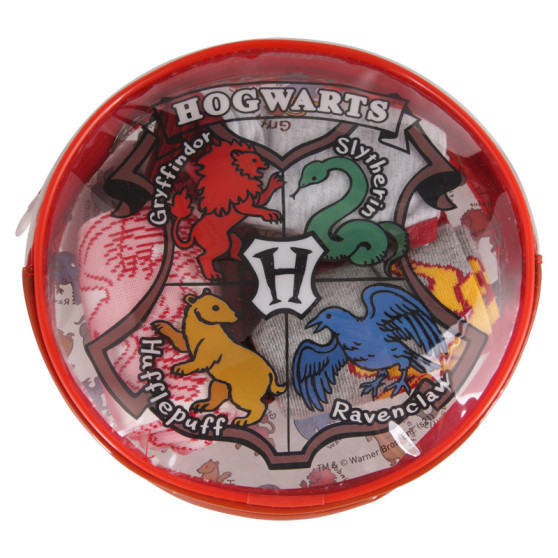 4PACK meisjes ondergoed set Cerdá Harry Potter multicolour (2200007424)