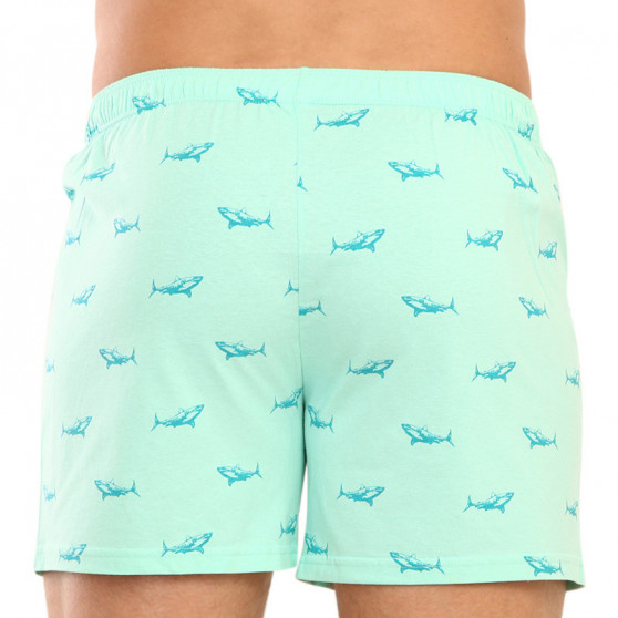 Herenboxershort Gino groen (75172)