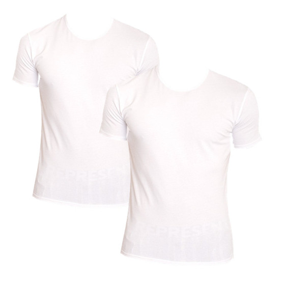 2PACK heren t-shirt Calvin Klein wit (NB1088A-100)