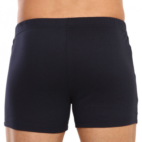 2PACK Herenboxershort Molvy veelkleurig (KP-074-BBU)