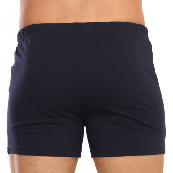 2PACK Herenboxershort Molvy veelkleurig (KP-077-BBU)