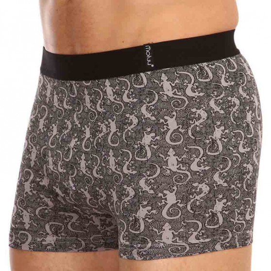 2PACK Herenboxershort Molvy veelkleurig (KP-080-BEU)