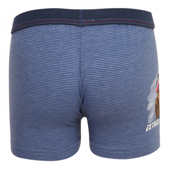 Kinderboxershort Cornette Kinderen veelkleurig (701/116)