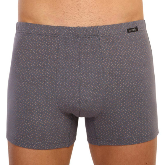 Herenboxershort Andrie grijs (PS 5596 B)