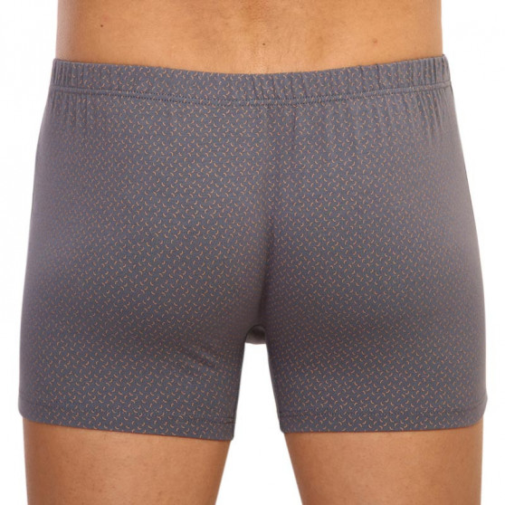 Herenboxershort Andrie grijs (PS 5596 B)