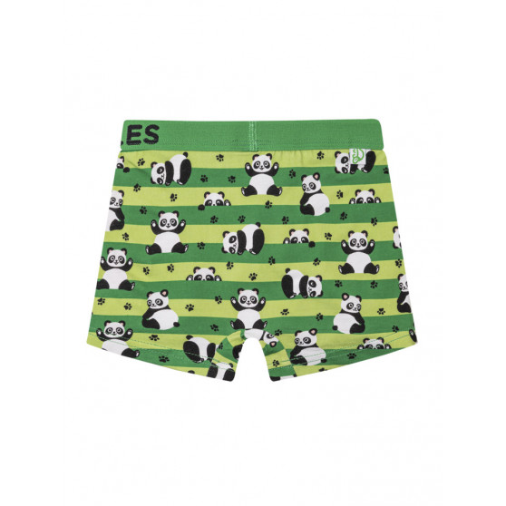 Vrolijke jongens boxershorts Dedoles Panda's en riemen (GMBB249)