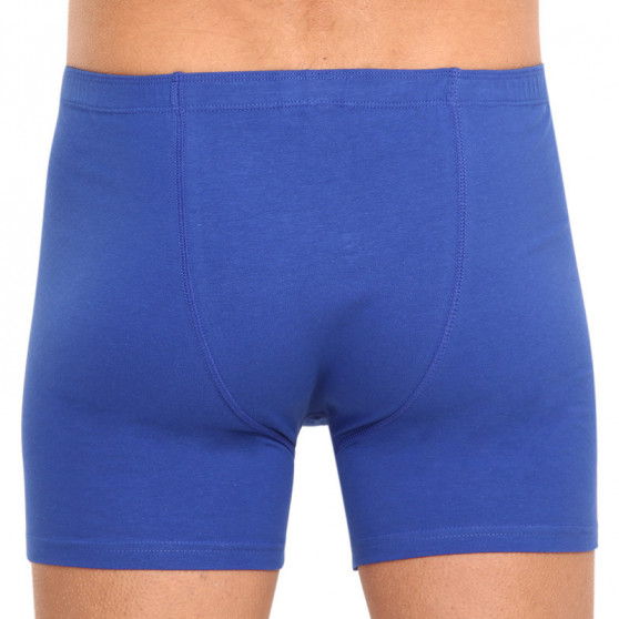 Herenboxershort Gino blauw (74140)