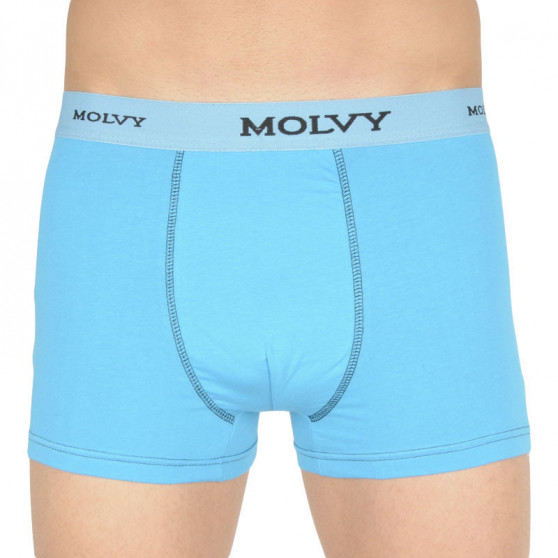 2PACK Herenboxershort Molvy veelkleurig (2MP-305-BEU)