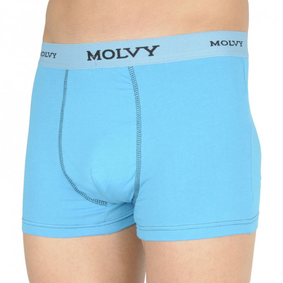 2PACK Herenboxershort Molvy veelkleurig (2MP-305-BEU)