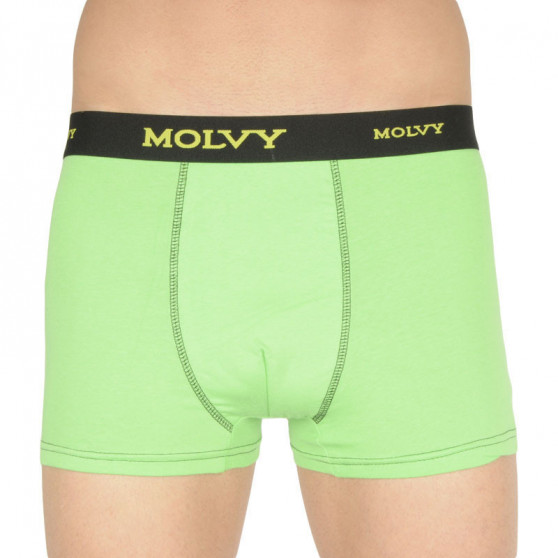 2PACK Herenboxershort Molvy veelkleurig (2MP-2637-BEU)