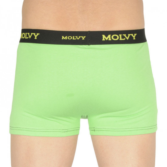 2PACK Herenboxershort Molvy veelkleurig (2MP-2637-BEU)