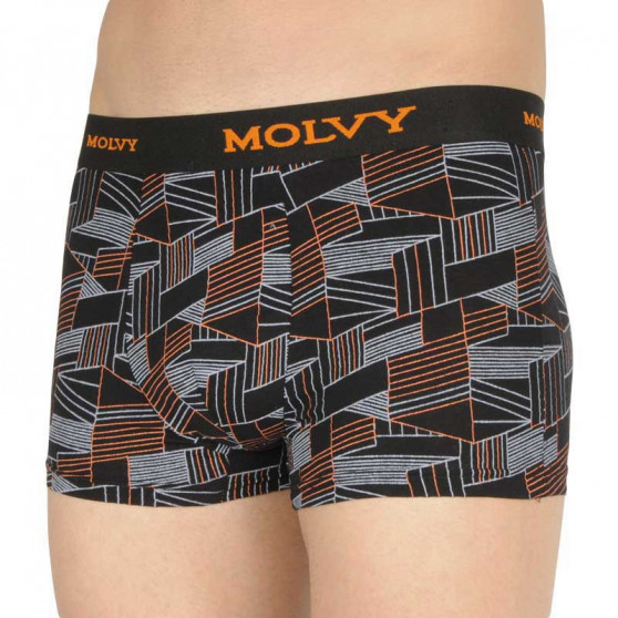 2PACK Herenboxershort Molvy veelkleurig (2MP-2637-BEU)