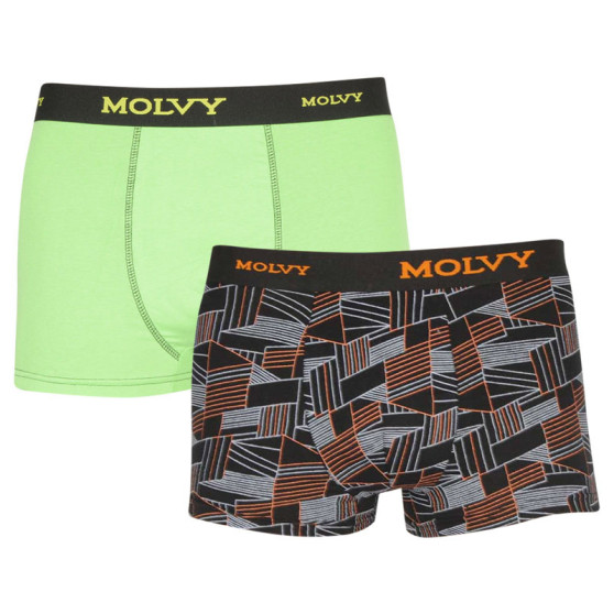 2PACK Herenboxershort Molvy veelkleurig (2MP-2637-BEU)