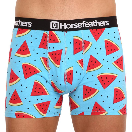 Herenboxershort Horsefeathers Sidney Melon (AM164B)