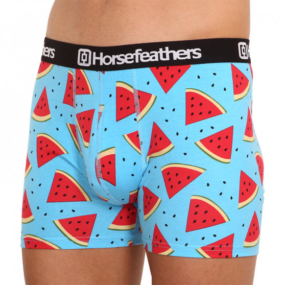 Herenboxershort Horsefeathers Sidney Melon (AM164B)