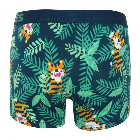 Vrolijke jongens boxershort Dedoles Tijger (GMBB047)