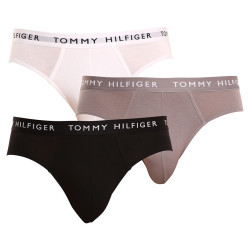 3PACK herenslip Tommy Hilfiger veelkleurig (UM0UM02206 0TG)