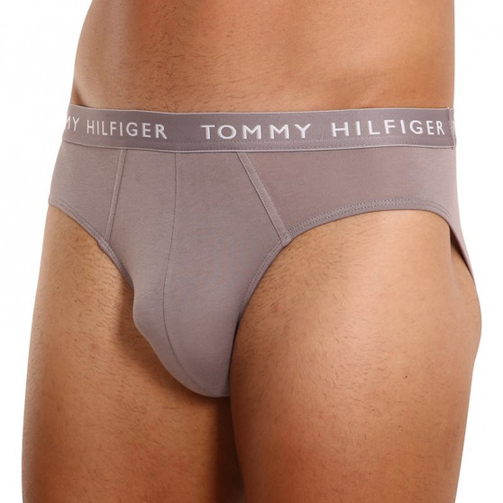 3PACK herenslip Tommy Hilfiger veelkleurig (UM0UM02206 0TG)