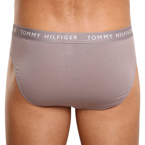 3PACK herenslip Tommy Hilfiger veelkleurig (UM0UM02206 0TG)