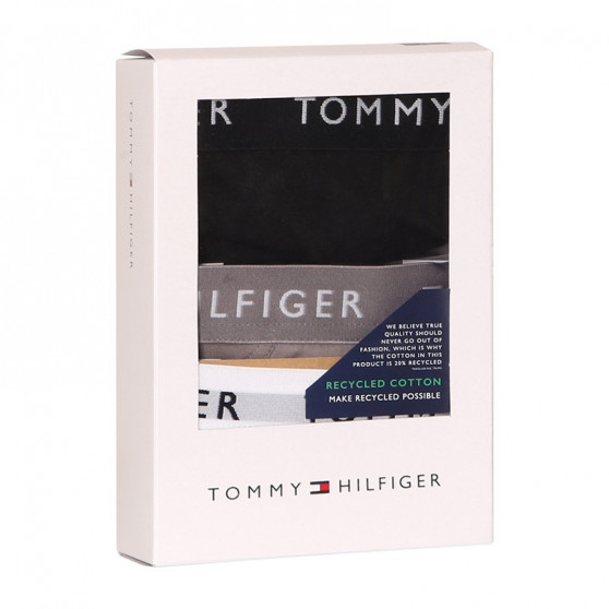 3PACK herenslip Tommy Hilfiger veelkleurig (UM0UM02206 0TG)