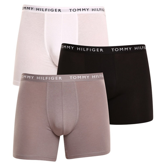 3PACK herenboxershort Tommy Hilfiger veelkleurig (UM0UM02204 0TG)