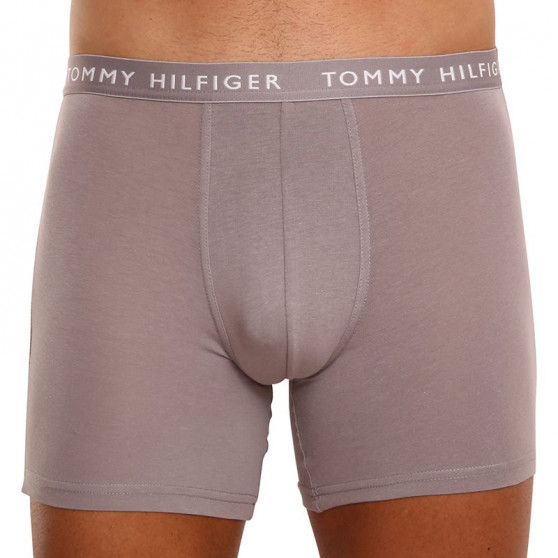 3PACK herenboxershort Tommy Hilfiger veelkleurig (UM0UM02204 0TG)