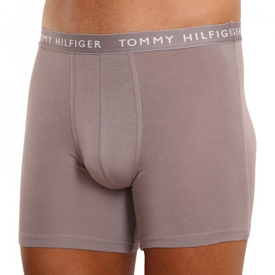 3PACK herenboxershort Tommy Hilfiger veelkleurig (UM0UM02204 0TG)