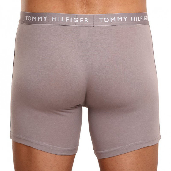 3PACK herenboxershort Tommy Hilfiger veelkleurig (UM0UM02204 0TG)