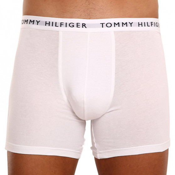 3PACK herenboxershort Tommy Hilfiger veelkleurig (UM0UM02204 0TG)