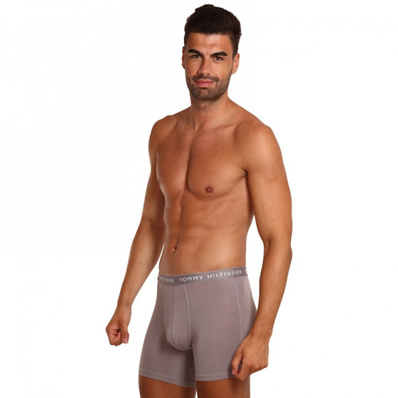 3PACK herenboxershort Tommy Hilfiger veelkleurig (UM0UM02204 0TG)