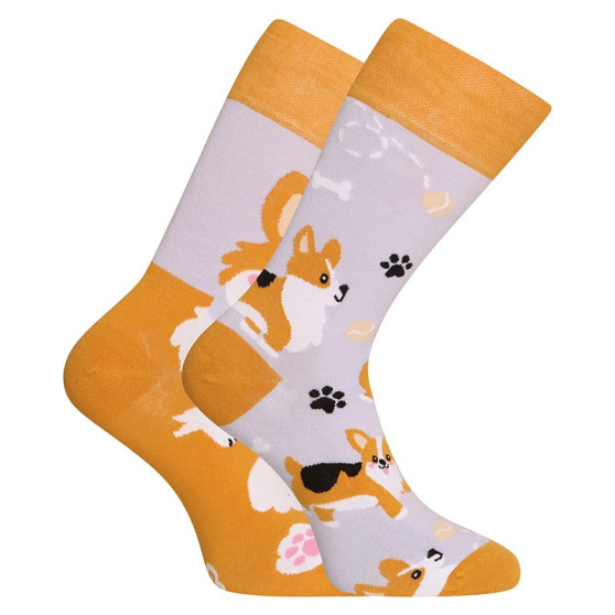 Happy Socks Dedoles Hond Corgi (GMRS241)