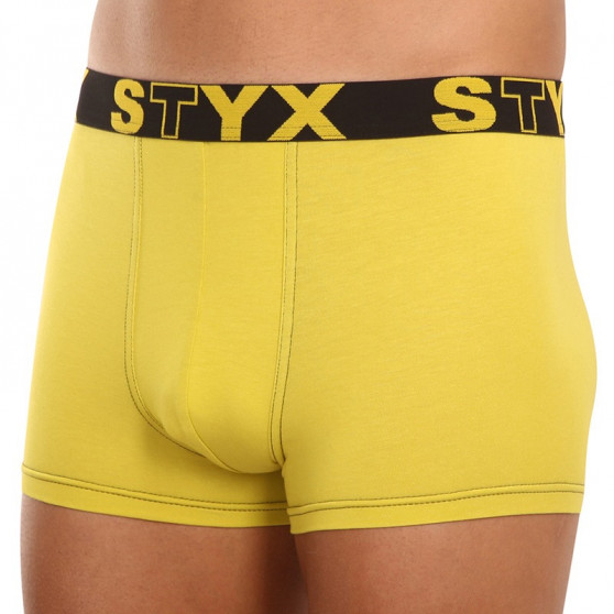 Herenboxershort Styx sportrubber groen en geel (G1065)