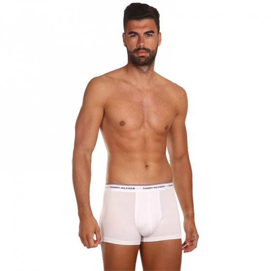 3PACK herenboxershort Tommy Hilfiger veelkleurig (1U87903842 004)