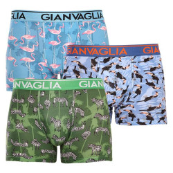 3PACK herenboxershort Gianvaglia veelkleurig (GVG-5501)