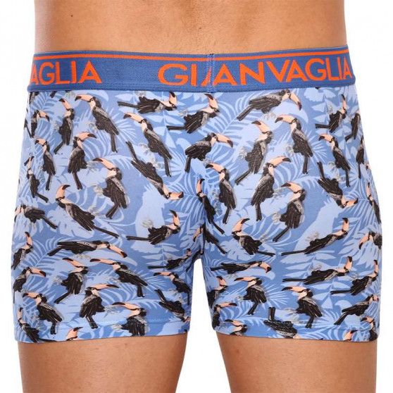 3PACK herenboxershort Gianvaglia veelkleurig (GVG-5501)