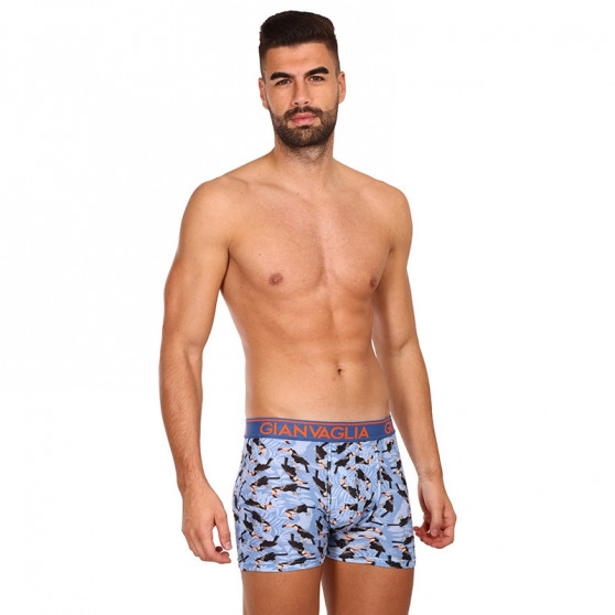 3PACK herenboxershort Gianvaglia veelkleurig (GVG-5501)