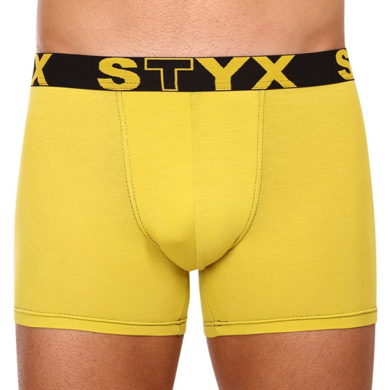 Herenboxershort Styx lang sportelastisch groen en geel (U1065)