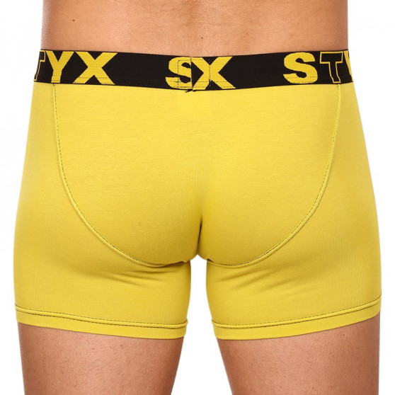 Herenboxershort Styx lang sportelastisch groen en geel (U1065)