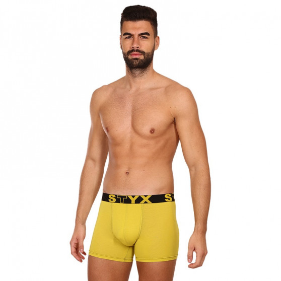 Herenboxershort Styx lang sportelastisch groen en geel (U1065)